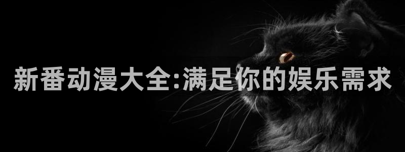 动漫天堂在线免费观看：新番动漫大全:满足你的娱乐需求