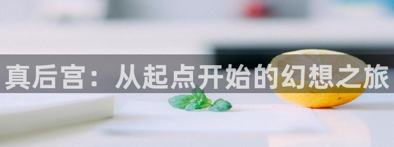 黄动漫天堂：真后宫：从起点开始的幻想之旅